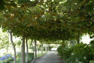 Gartenanlage für ihren Urlaub in Portugal